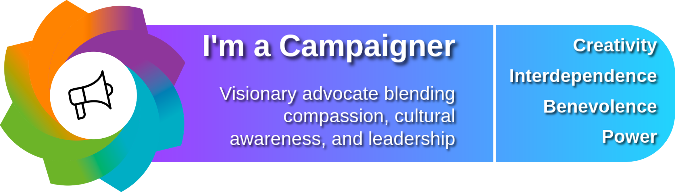 Campaigner archetype email signature banner