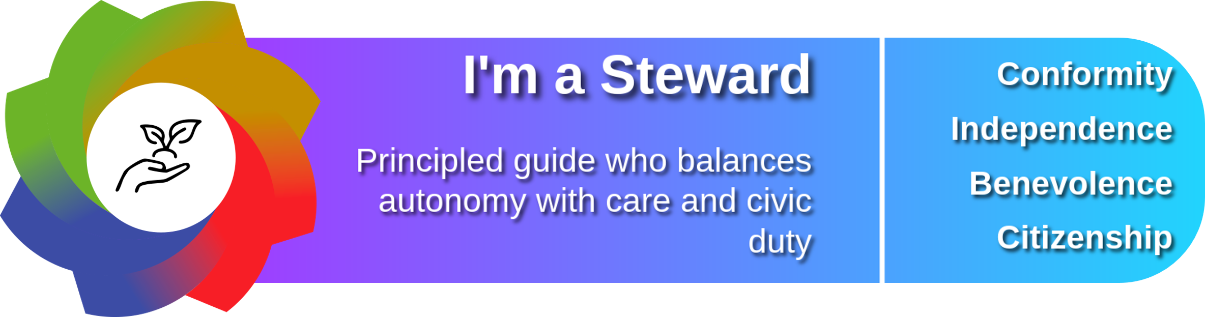Steward archetype email signature banner