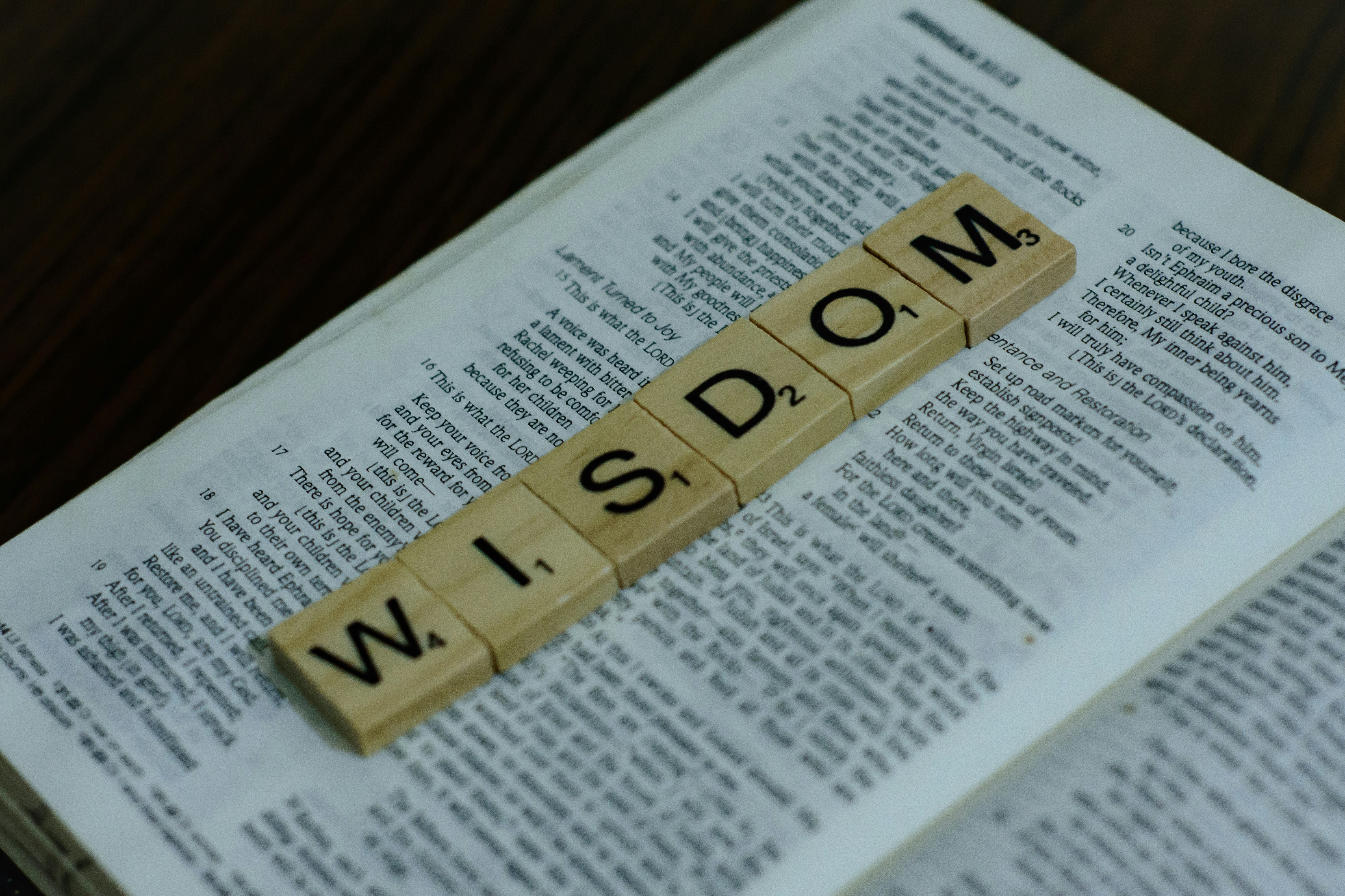Developing Wisdom